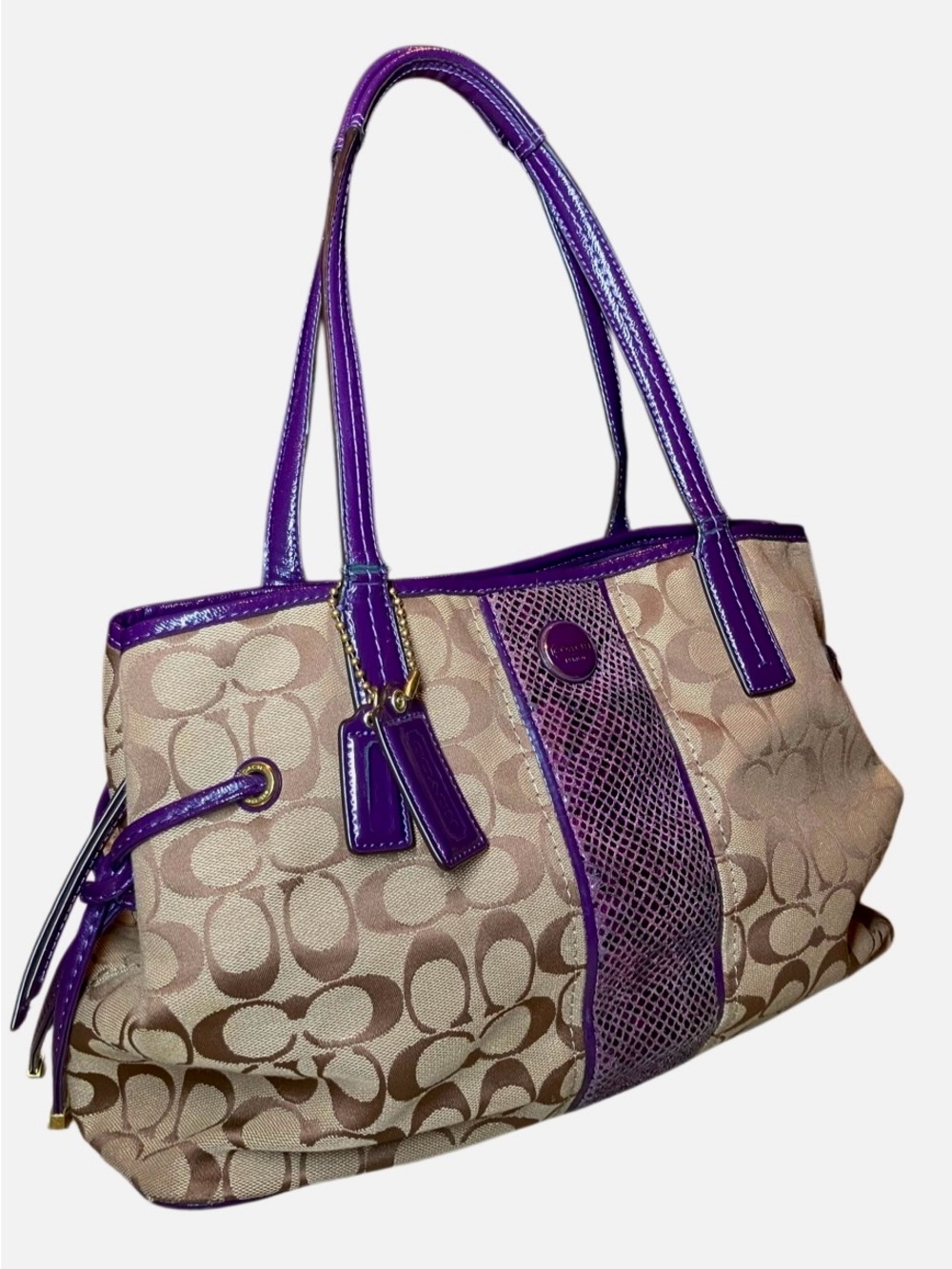 Coach Signature Stripe Python Carryall Tote in Tan/Purple